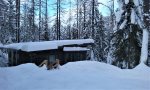 Creekside Cabin Winter